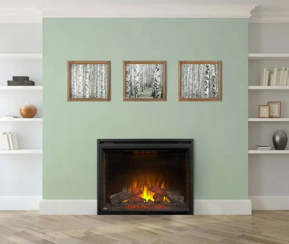 Napoleon Ascent 40" Built-in Electric Fireplace