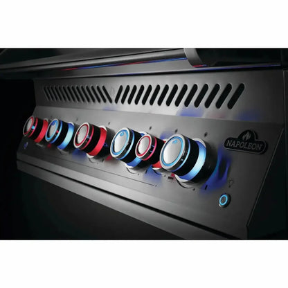 Napoleon Built-In 700 Series 38-inch Gas BBQ Grill with Rear Infrared Burner BIG38RB-1